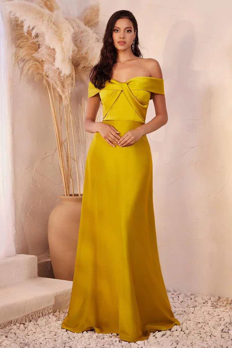 Ladivine Dress CD325 - Image 5