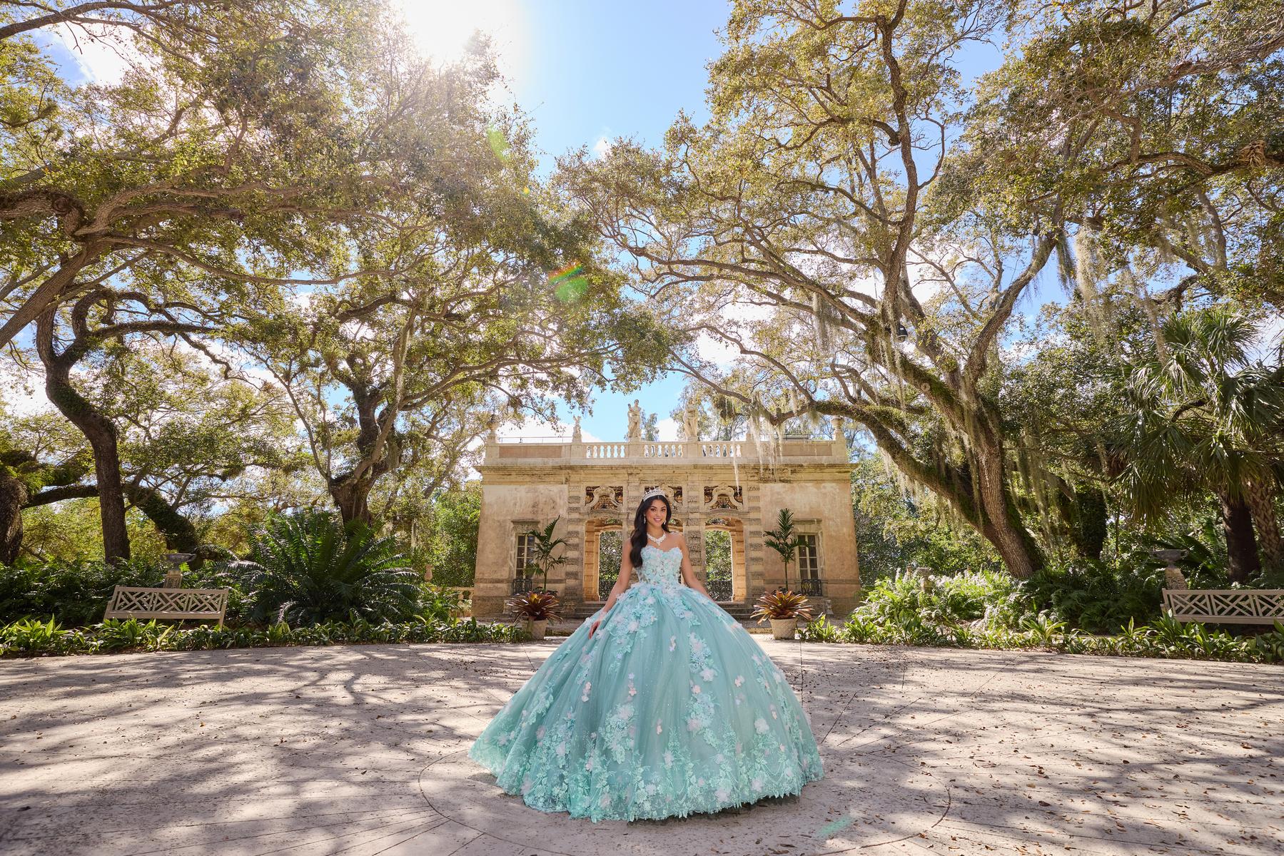 Princesa by Ariana Vara Dress PR30133 - Image 5
