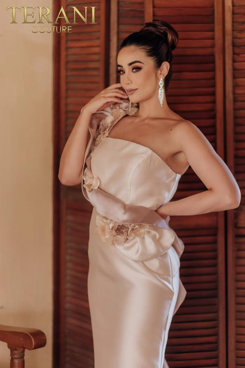 Terani Evenings Dress 2011E2424 - Image 6