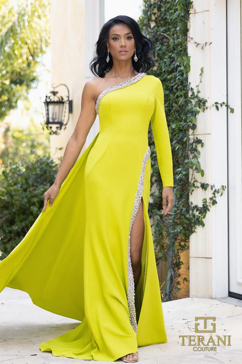 Terani Evenings Dress 242E3133 - Image 7