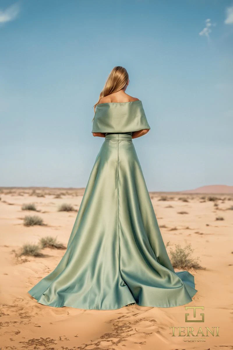 Terani Mother of the Bride Dress 251M4441 - Image 11