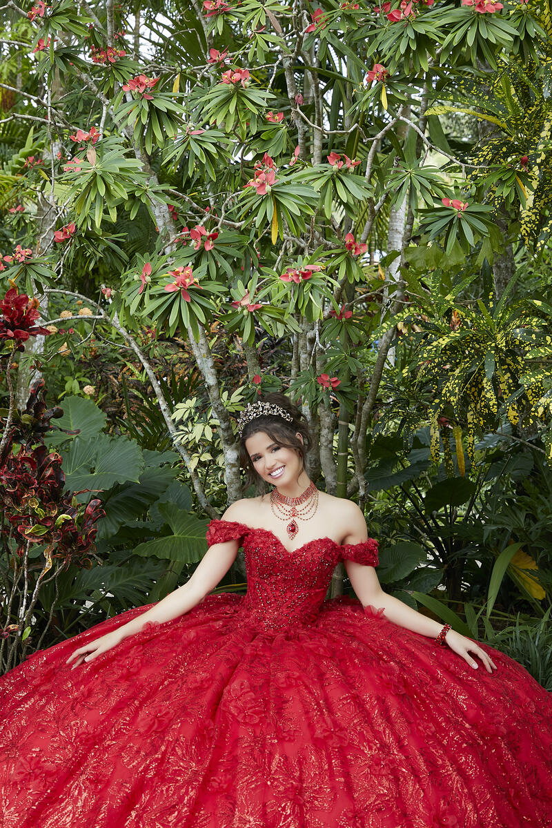 Vizcaya by Morilee 3D Floral Quince Dress 89289 - Image 3